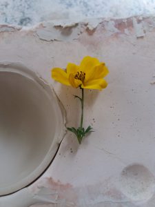 20161005_112608