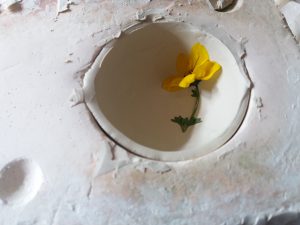 20161005_112651