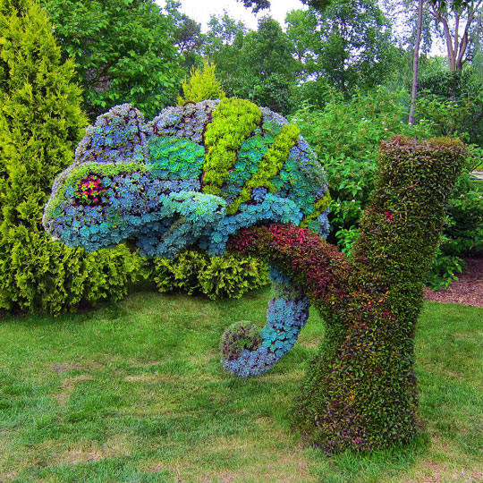 topiary garden