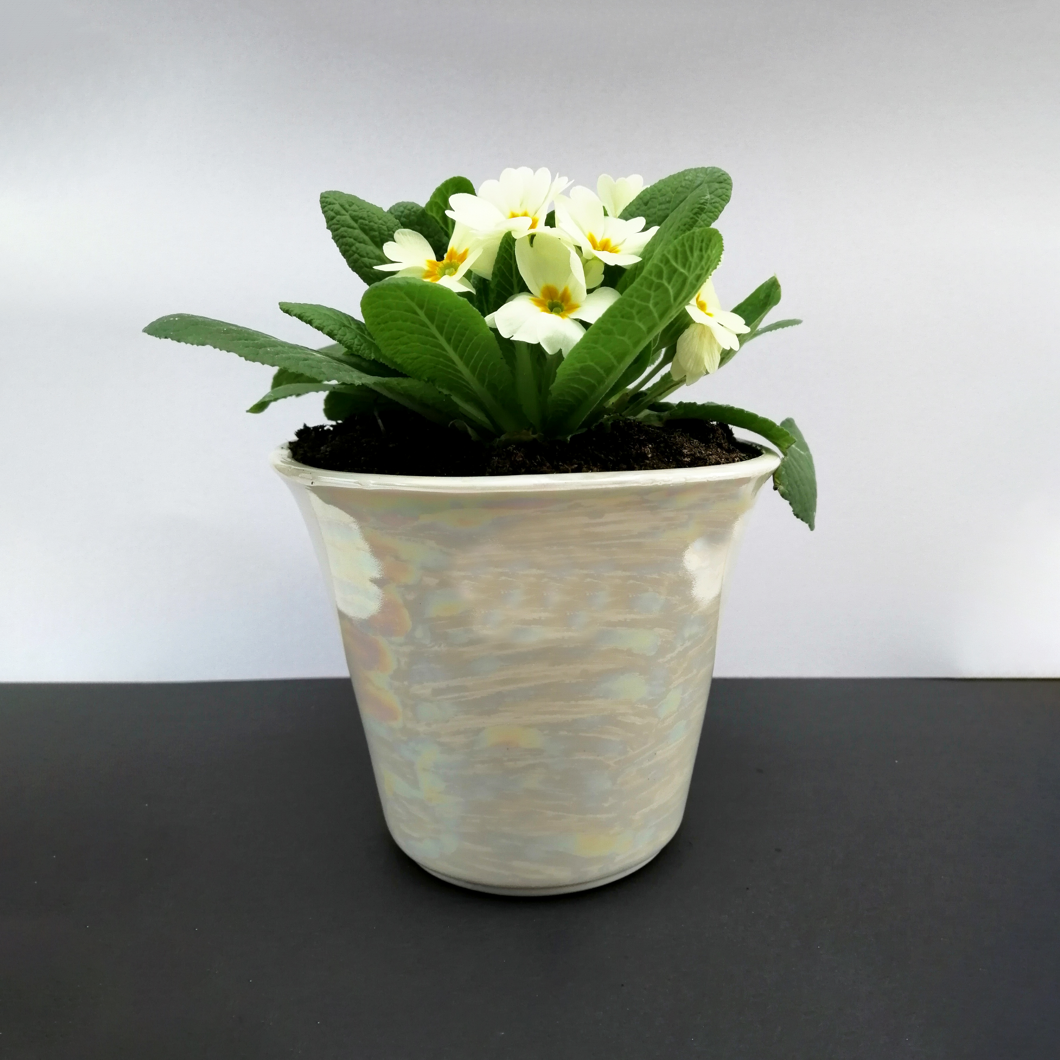 https://melissaceramics.com/wp-content/uploads/2019/01/ceramic-plant-pot-pearl.jpg